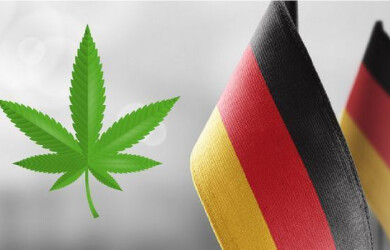 La légalisation du cannabis en Allemagne repoussée à 2024