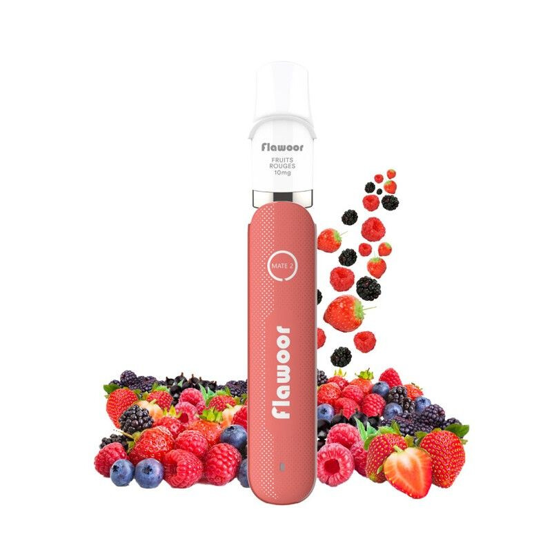 Kit Puff POD Flawoor Mate 2 rechargeable